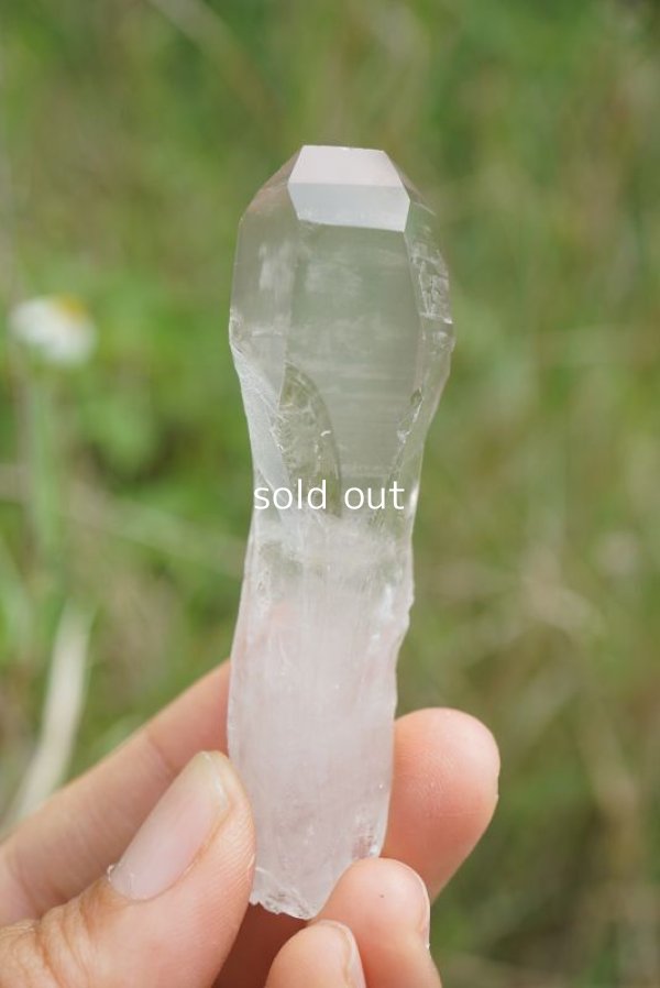 画像12: レムリアンシードクリスタル セラ・デ・カブラル産 ３ピースセット[イシス タイムリンク タビー]