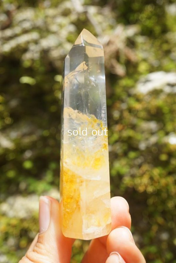 画像4: ゴールデンヒーラー