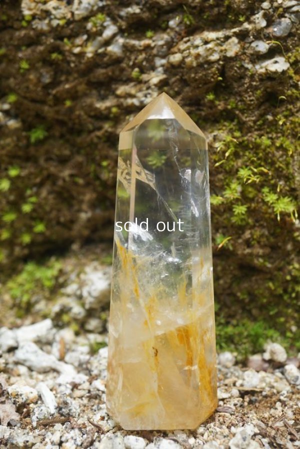 画像6: ゴールデンヒーラー