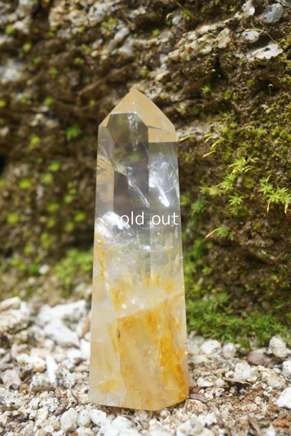 画像7: ゴールデンヒーラー