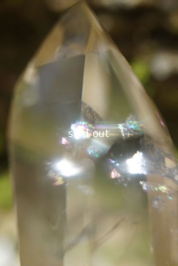 画像8: ゴールデンヒーラー