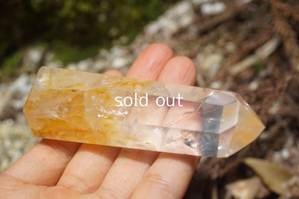 画像9: ゴールデンヒーラー