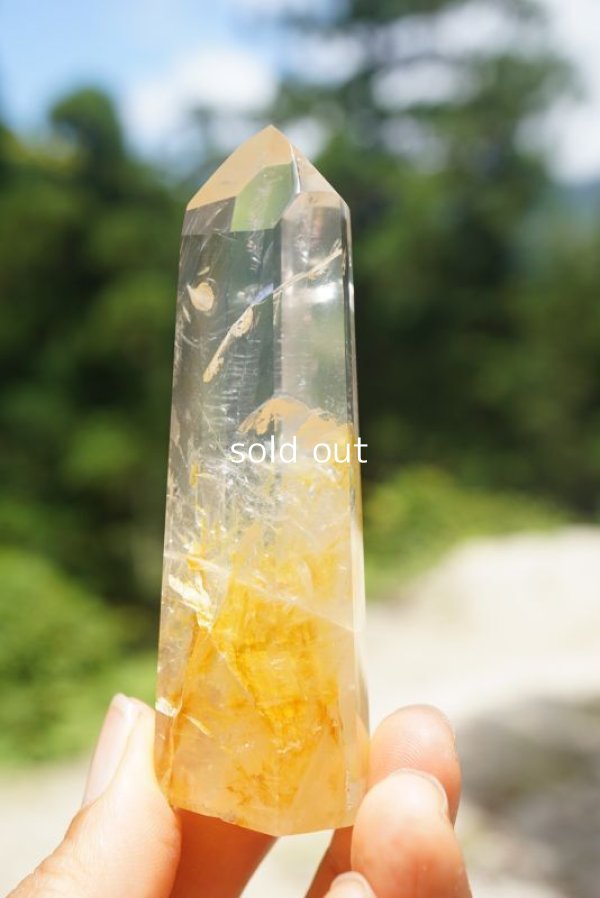 画像3: ゴールデンヒーラー