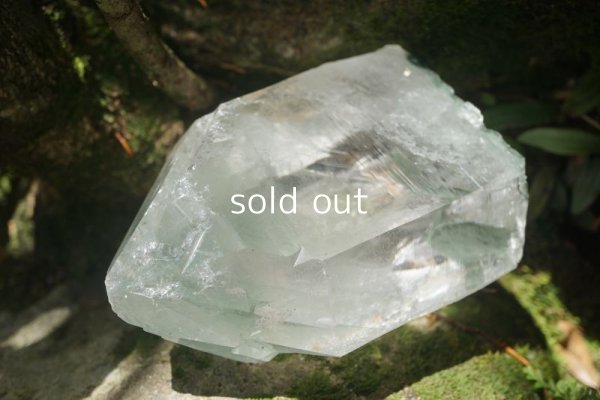 画像18: グリーンファントム レコードキーパー ヒマラヤ水晶 マニハール産