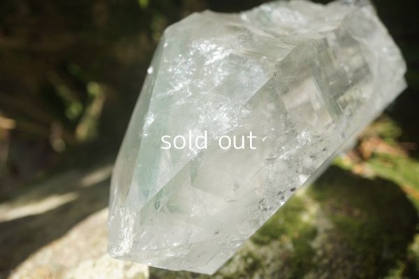 画像19: グリーンファントム レコードキーパー ヒマラヤ水晶 マニハール産