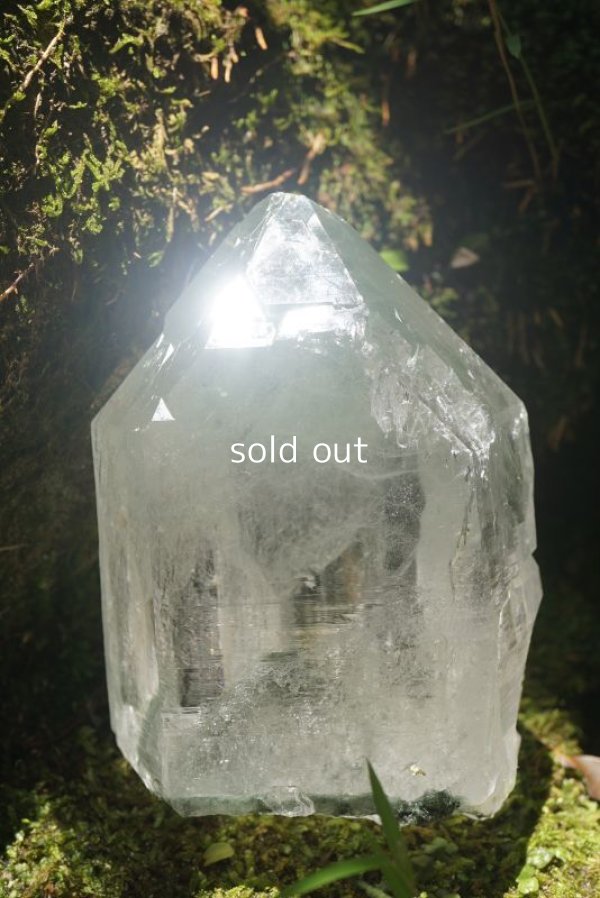 画像6: グリーンファントム レコードキーパー ヒマラヤ水晶 マニハール産