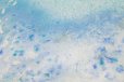 画像14: 地球の絵の具 CRYSTAL ART no.9