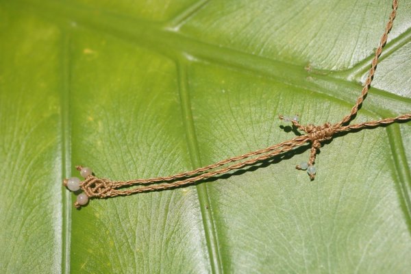 画像6: アクアマリン・モルガナイト