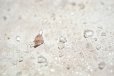 画像9: 地球の絵の具 CRYSTAL ART no.1