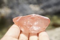 ピンクレムリアンシード 《レコードキーパー・セルフヒールド》