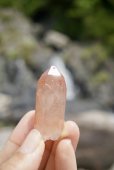 画像14: ピンクレムリアンシード 《セルフヒールド》