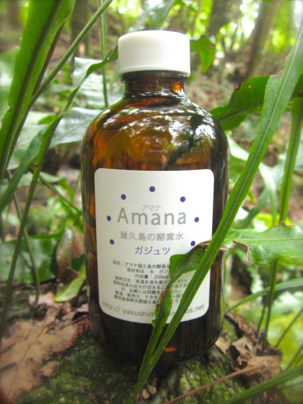 虹のうた テネモス Amana 屋久島の酵素水 ガジュツ 250ml 瓶入